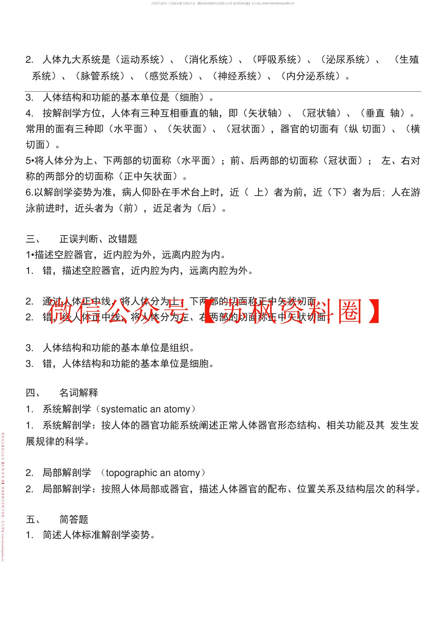 功能解剖学
